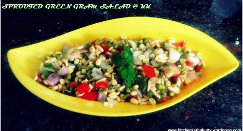 Sprouted Green Gram Salad