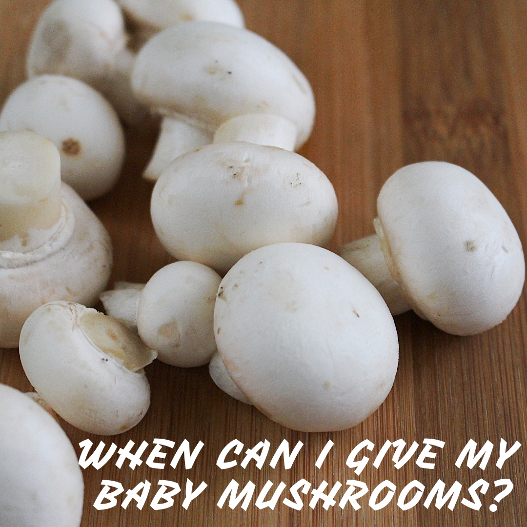 When can I give my baby mushrooms