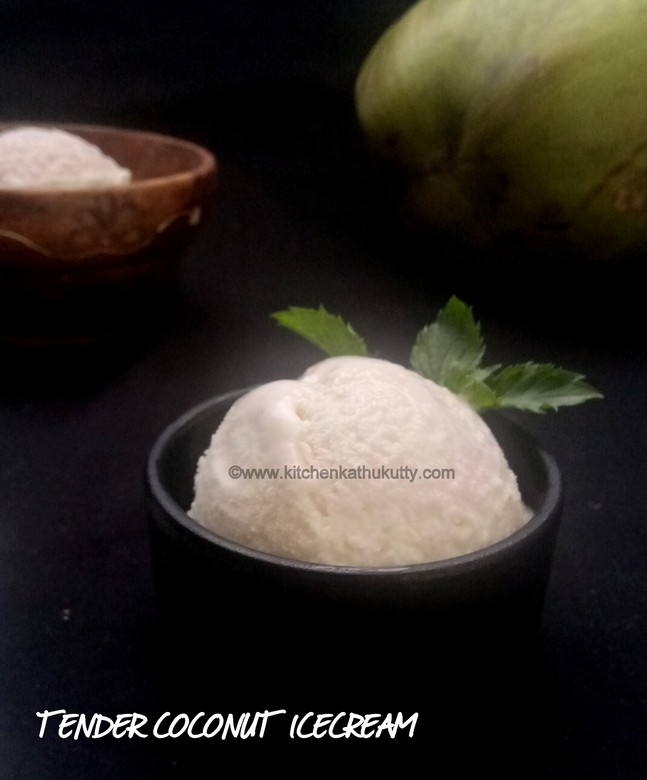tender coconut icecream recipe
