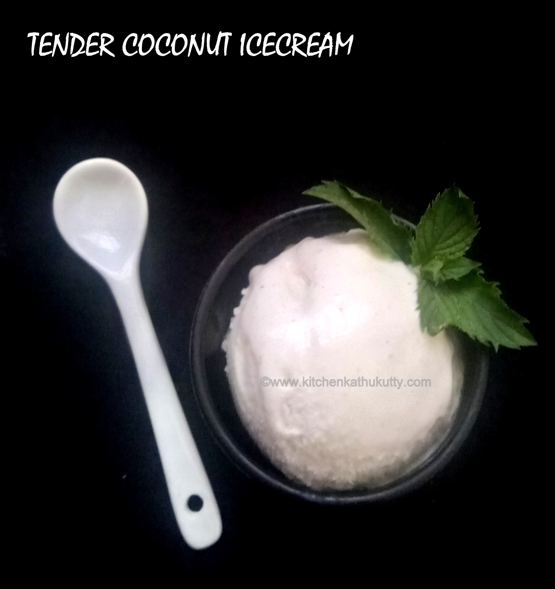 tender coconut icecream recipe